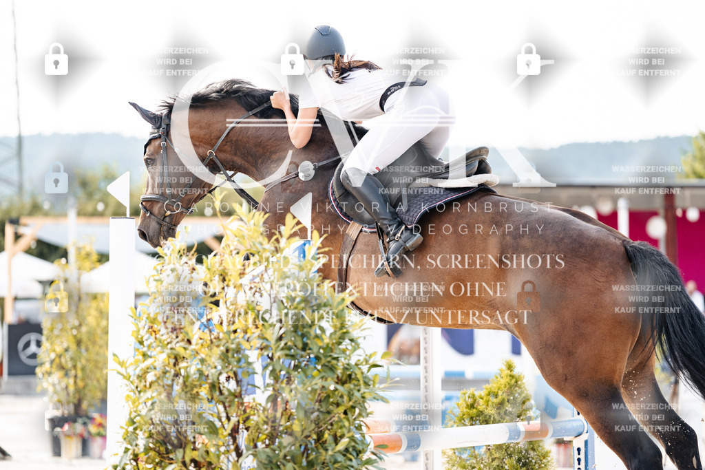 CK906431 | Turnierfotografie Pferdefotografie Trier Rheinland-Pfalz Pferdesport Reitsport Tierfotografie Sportfotografie Pferdevideo Pferdevideografie Equestrianvideography equestrianphotography  - Realisiert mit Pictrs.com
