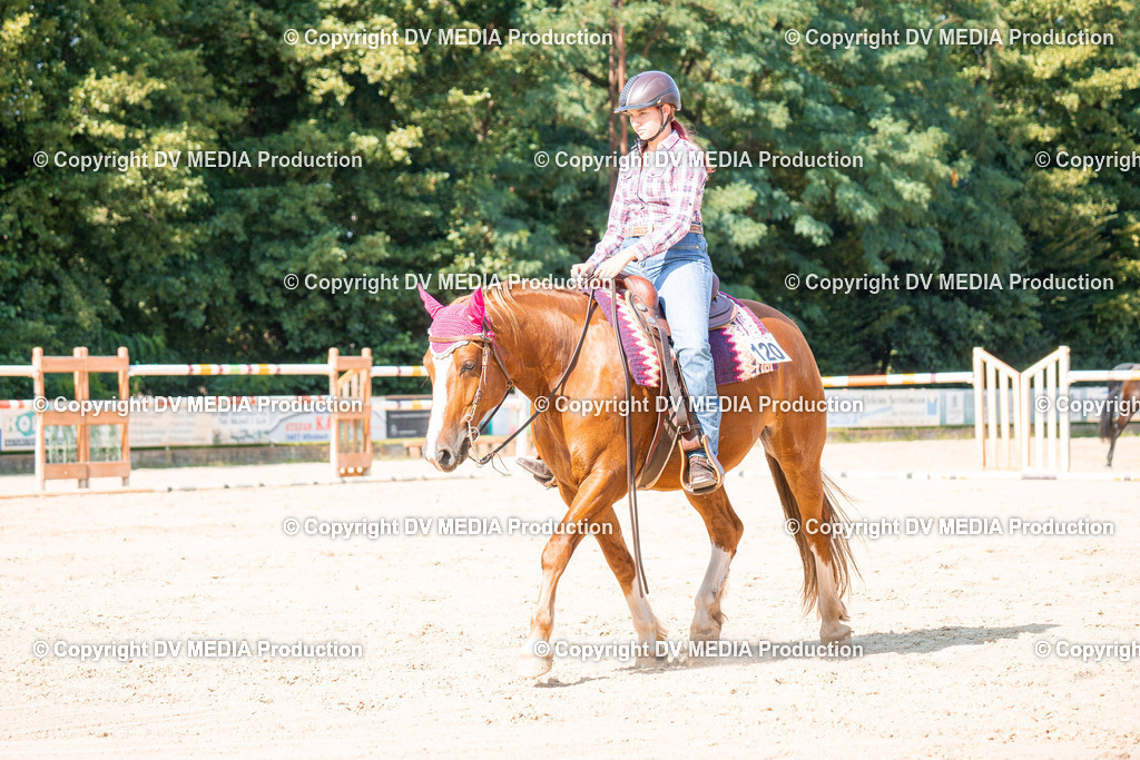 ZH100696 | dv-media-shop - Realisiert mit Pictrs.com