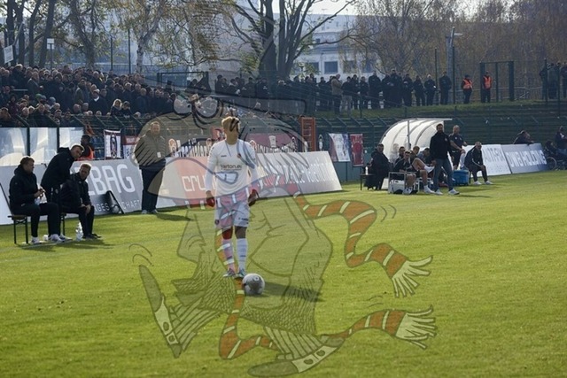 BFC Dynamo vs. FC Energie Cottbus  041 | mythos-online-redaktion