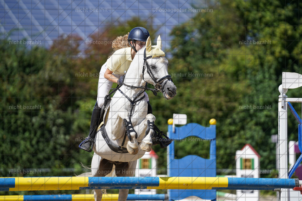20240824-FAH08215 | Thierhaupten 2024, Bayerisches Landesponyturnier, Turnierbilder, Ponybilder, Turnierfotografen Bayern, Fotoagentur Herrmann