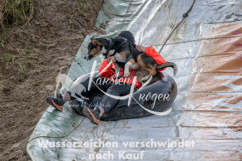 1618_ZZ94946 | kk-dogfotos