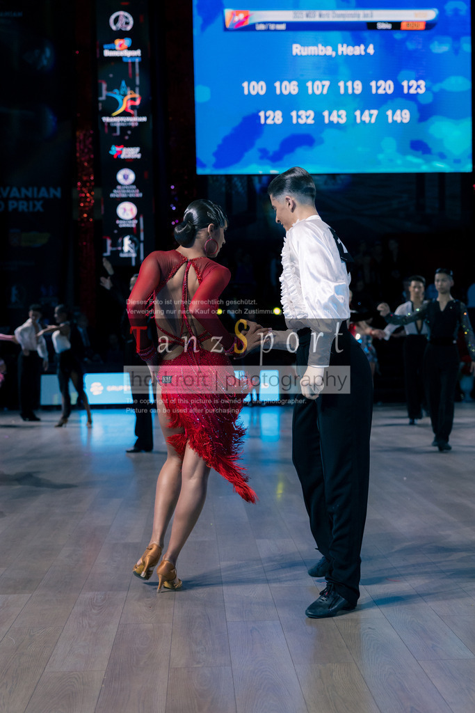 IMG_7524 | Tanzsportbilder, Standardtanz, Lateintanz, WDSF, DTV, LTVB, dancecomp, goc, hessen tanzt, blaues band der spree, walzer, tango, wiener walzer, slowfox, quickstepp, samba, rumba, cha-cha-cha, paso doble. jive, hd-kroft photography, turniertanzsport