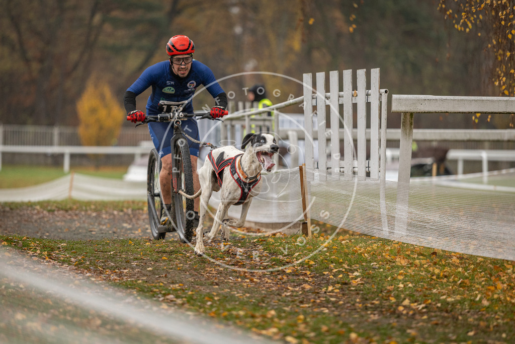 CaniXpix_DV3A8161 | Hundefotografie, Tierfotograf, Pfotenfotografie, Fotoshooting Hund, Hunde Portrait, Hundesport, Hundeportraits, Heideshooting, Hunde, Sportfotograf, Hundefotograf, Turnierhundsport, THS,  - Realisiert mit Pictrs.com