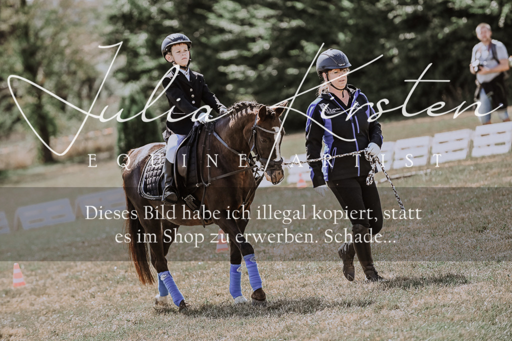 DSC_7951 | Pferde- und Turnierfotografie in Westsachsen. Pferdeportraits, Auftragszeichnungen und intuitive Kunst.