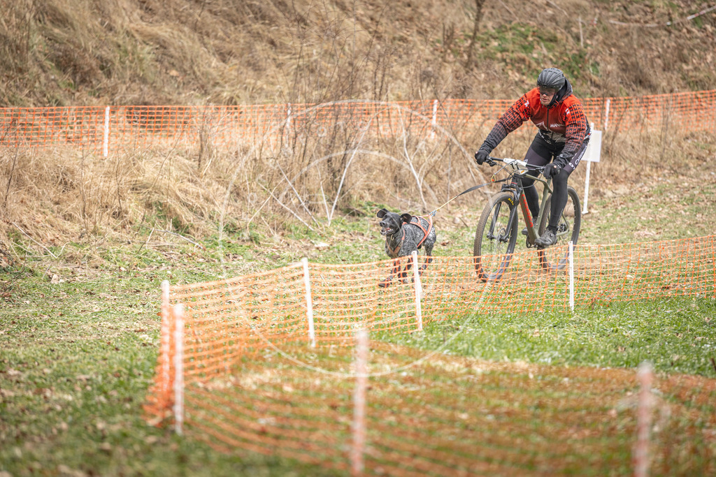 Pfotenfotografie_DV3A6722 | Hundefotografie, Tierfotograf, Pfotenfotografie, Fotoshooting Hund, Hunde Portrait, Hundesport, Hundeportraits, Heideshooting, Hunde, Sportfotograf, Hundefotograf, Turnierhundsport, THS,  - Realisiert mit Pictrs.com