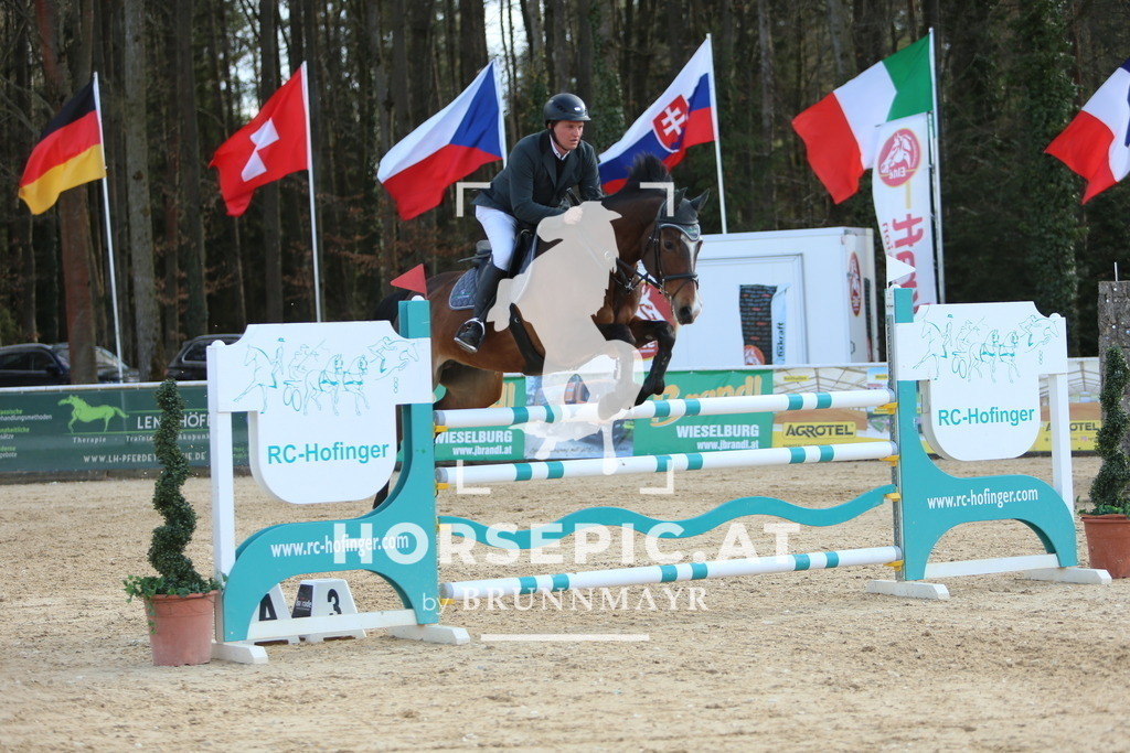 DL2Q0881 | Willkommen bei Brunnmayr - Design & Fotografie – Ihrem Spezialisten für Reitturniere und Pferdeveranstaltungen in Oberösterreich, Salzburg und Bayern! Seit über 17 Jahren sind wir leidenschaftlich dabei.