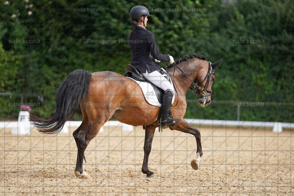 20240825-FAH00337 | Turnierbilder, Reitsportfotos, LAPO, Landesponyturnier, Turnierfotografen Bayern