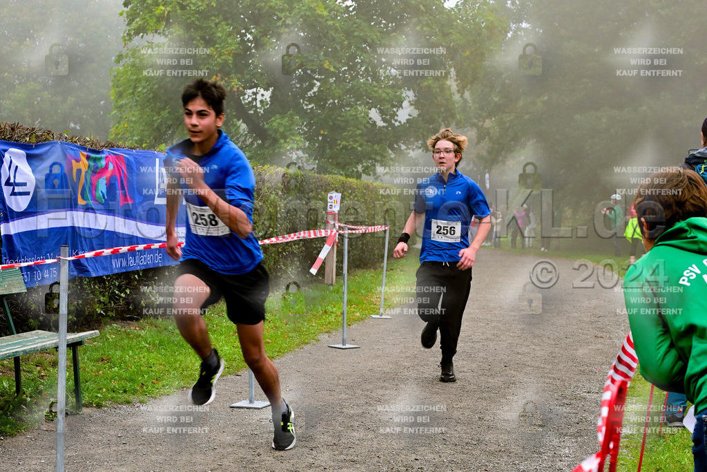 Z8N_2136 | la-psv - Realisiert mit Pictrs.com