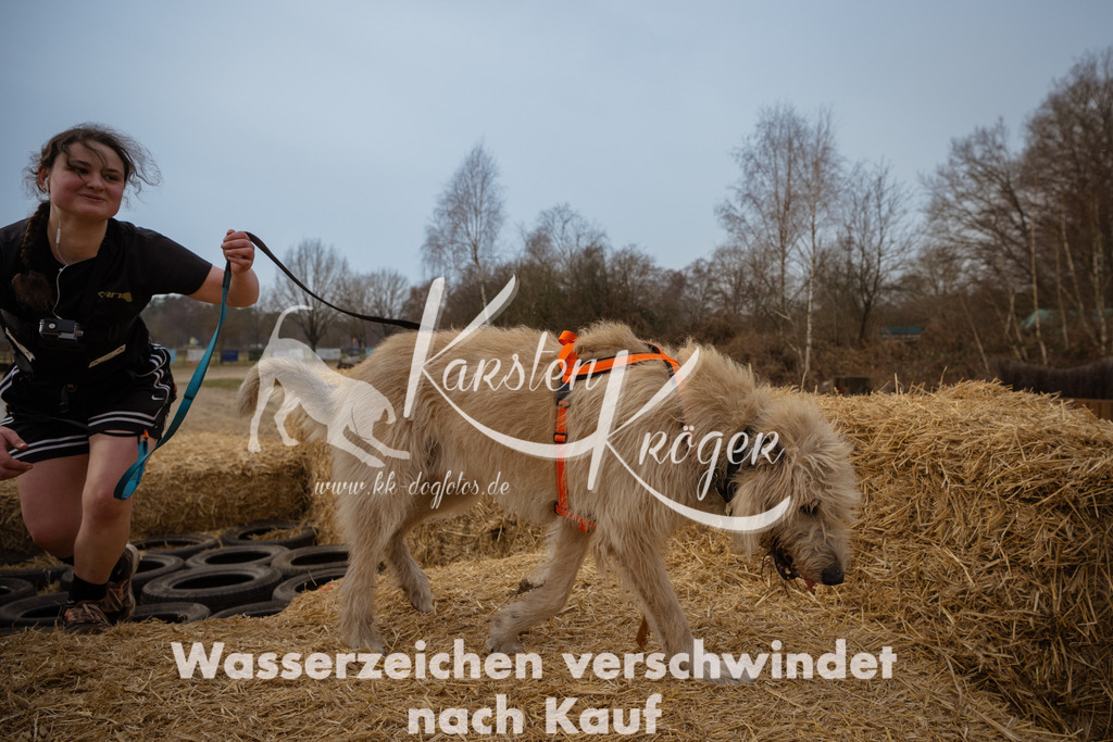 1157_ZZ95648 | kk-dogfotos