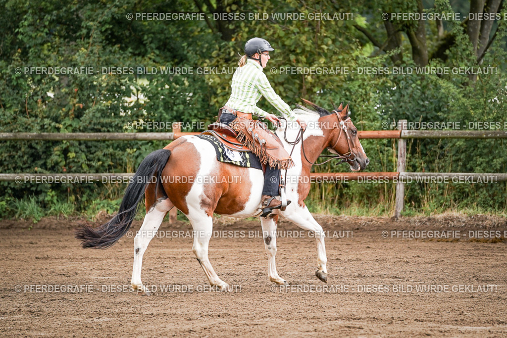 DSC05875 | Pferdegrafie