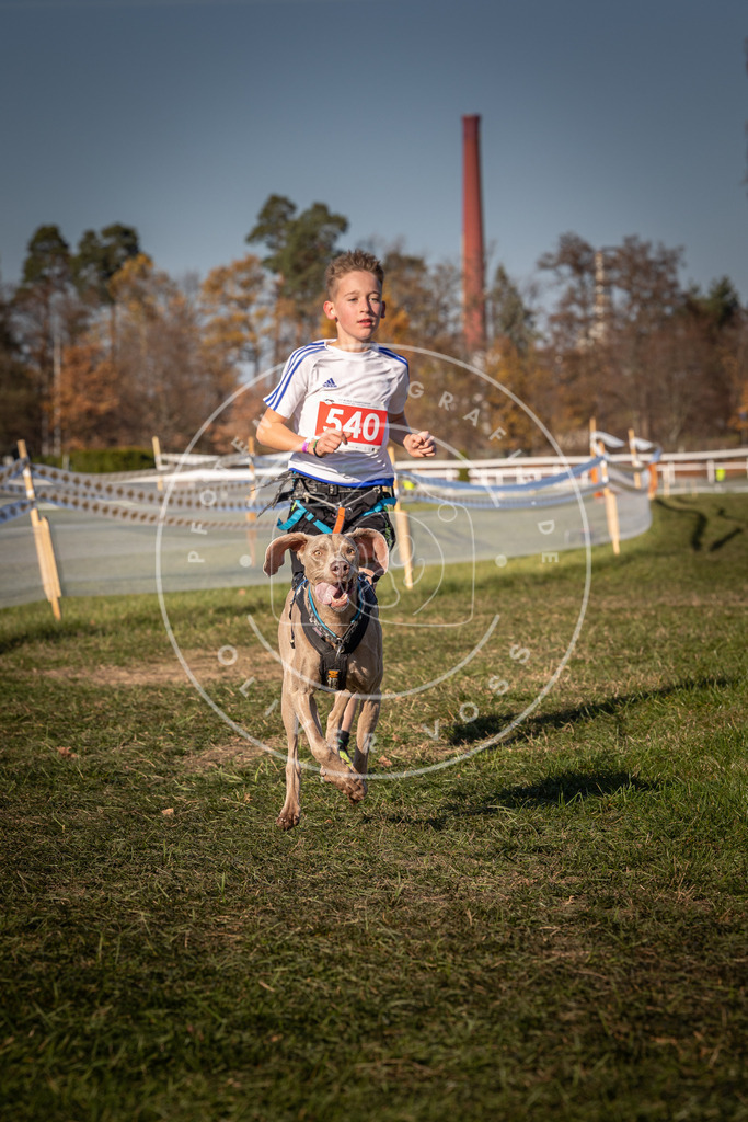 CaniXpix_0L8A7556 | Hundefotografie, Tierfotograf, Pfotenfotografie, Fotoshooting Hund, Hunde Portrait, Hundesport, Hundeportraits, Heideshooting, Hunde, Sportfotograf, Hundefotograf, Turnierhundsport, THS,  - Realisiert mit Pictrs.com