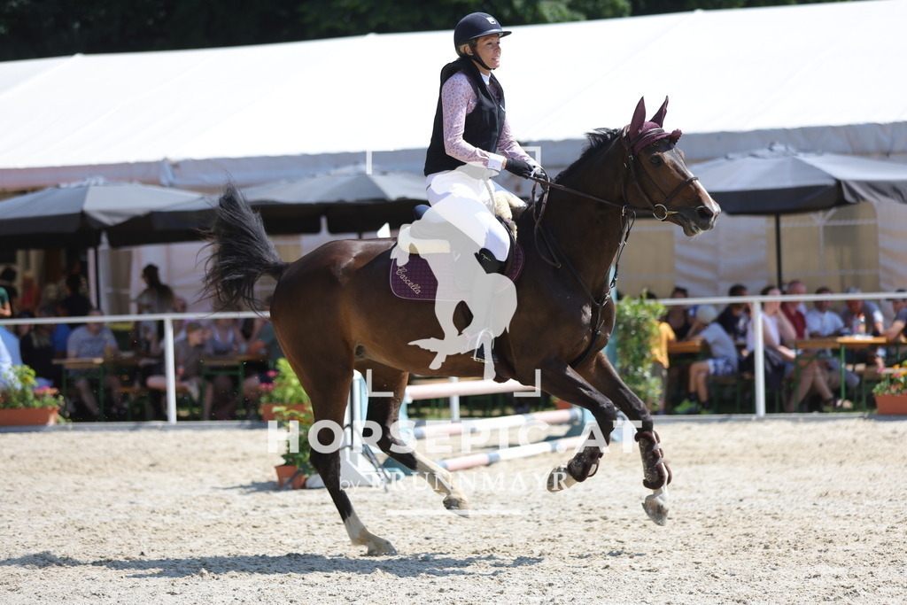0P6A8878 | Willkommen bei Brunnmayr - Design & Fotografie – Ihrem Spezialisten für Reitturniere und Pferdeveranstaltungen in Oberösterreich, Salzburg und Bayern! Seit über 17 Jahren sind wir leidenschaftlich dabei.
