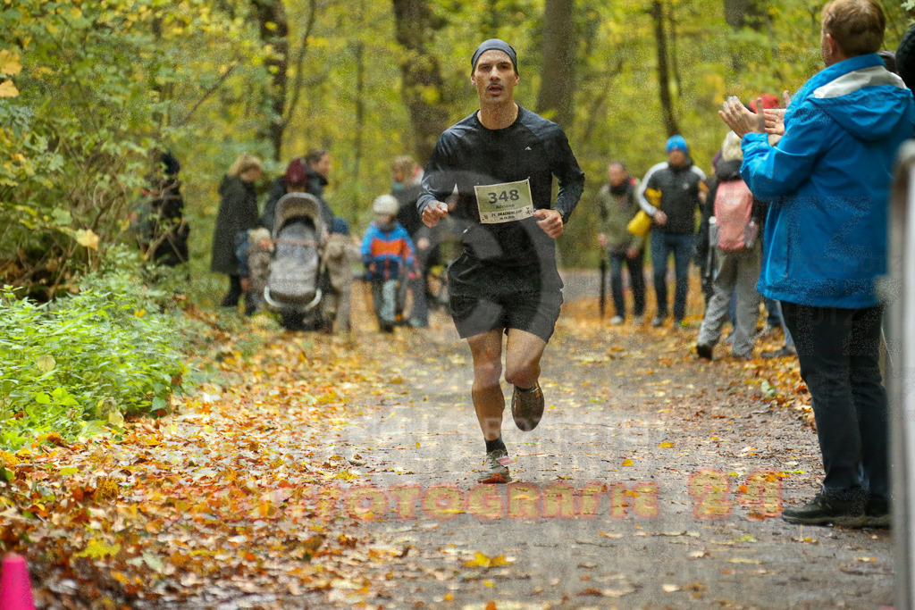 251026_1210_EX1_9952 | Sportfotografie im Rhein-Sieg Kreis, Köln, Bonn, NRW, Rheinland Pfalz, Hessen, etc. Unser Tätigkeitsfeld umfasst den Laufsport vom Volkslauf über den Marathon, Duathlon, Triathon bis zum Ultralauf wie Kölnpfad Ultra oder Schindertrail.