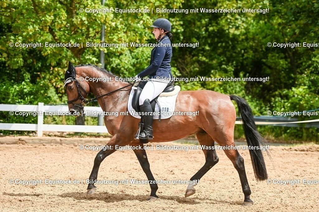 20230716_03_Dressurprfg. Kl.L - Tr._0659 | equistock