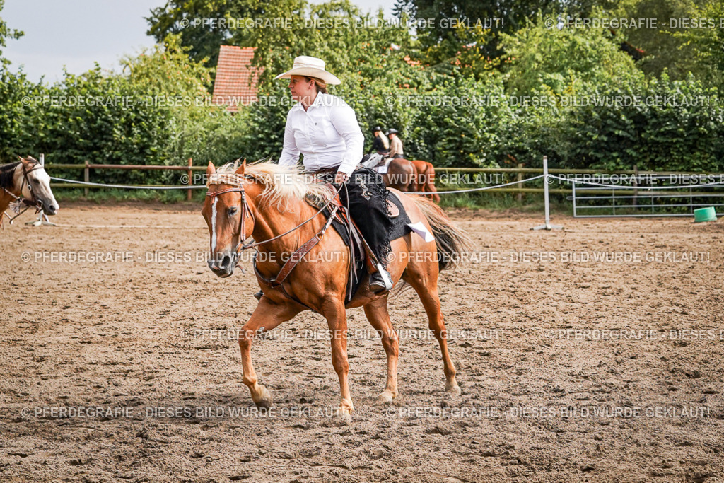 DSC09315 | Pferdegrafie