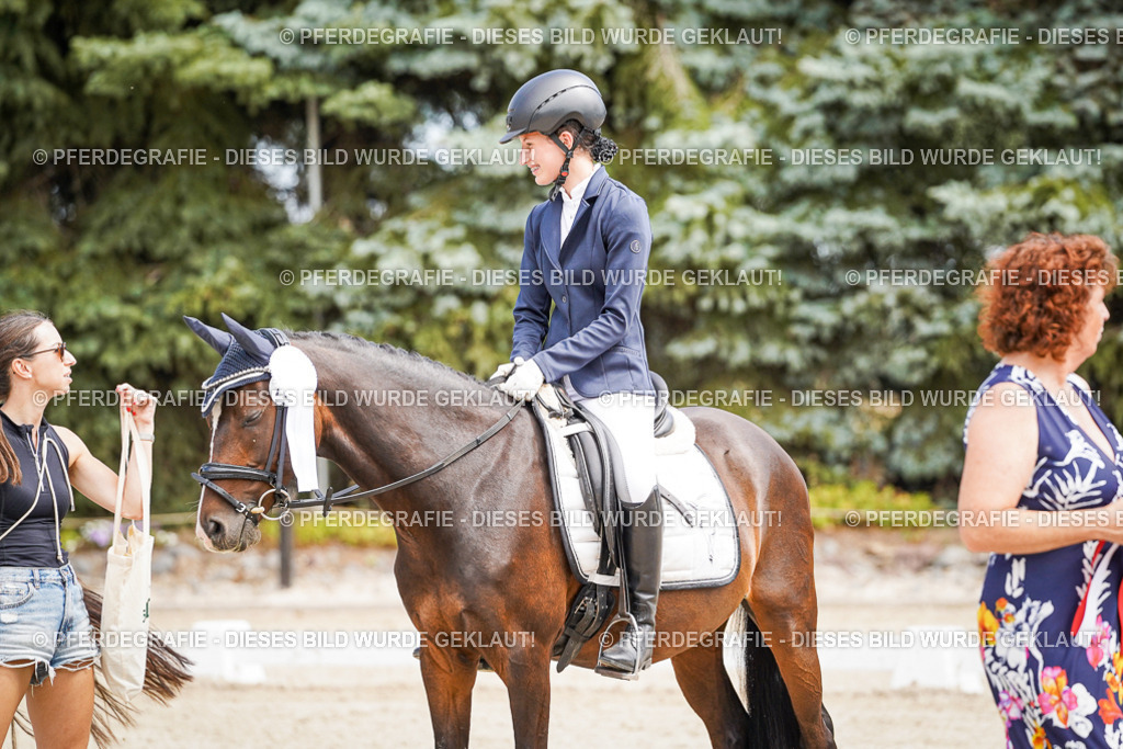 DSC02638 | Pferdegrafie