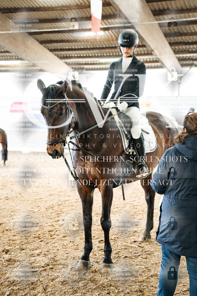 CK703069 | Turnierfotografie Pferdefotografie Trier Rheinland-Pfalz Pferdesport Reitsport Tierfotografie Sportfotografie Pferdevideo Pferdevideografie Equestrianvideography equestrianphotography  - Realisiert mit Pictrs.com