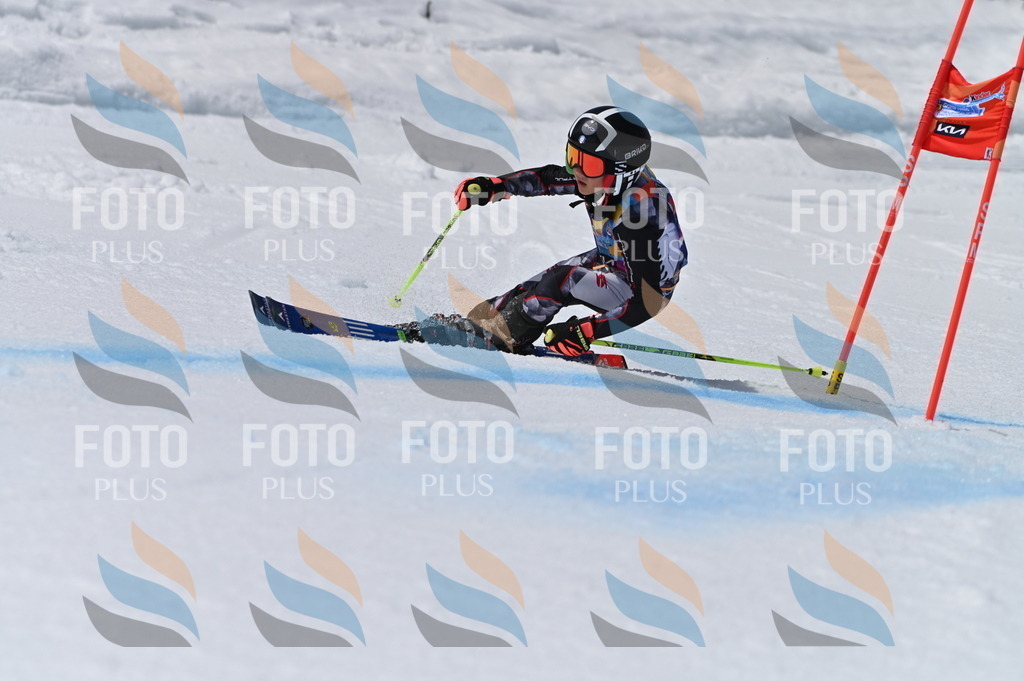 BGV_7378 | holidayphoto