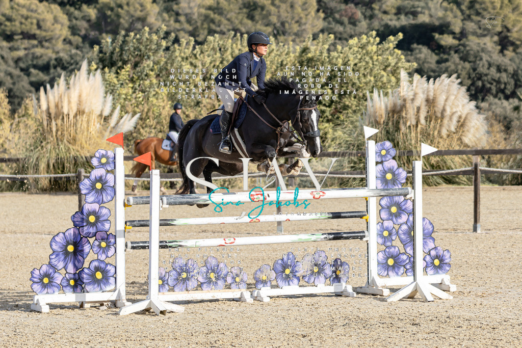 IMG_0483 | s-jay-photography - Realisiert mit Pictrs.com