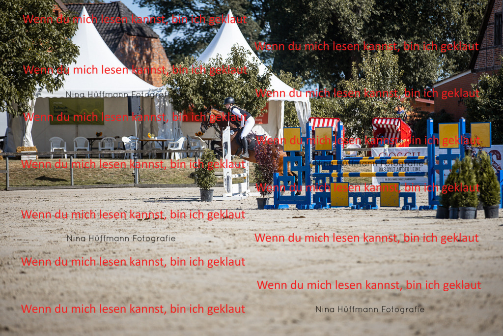 BK1A7101 | Turnierbilder Turnierfotos Nina Hüffmann Turnierfotografie Pferdefotografie Tierzeichnung Haustierzeichnung Pferdezeichnung Hundezeichnung Videograf  - Realisiert mit Pictrs.com