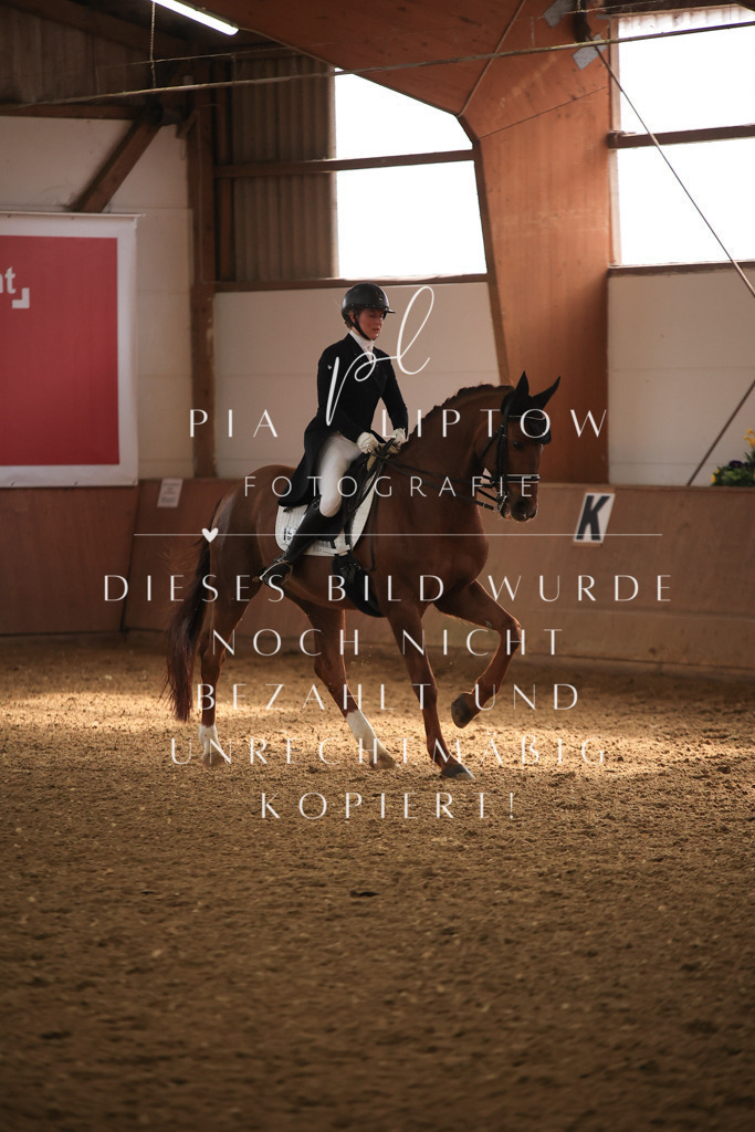 IMGT5086 | pl-fotografie