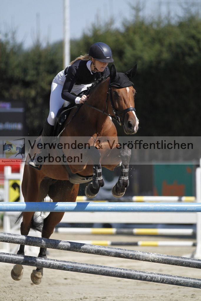 _MG_8186 | equestrian-live-com