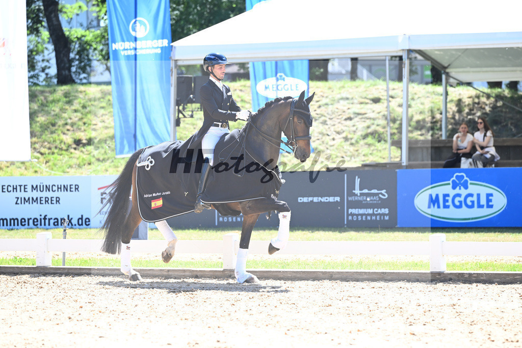 Goldenes Reitabzeichen_Adrian Munoz Jurado_11254507 | hf-fotografie - Realisiert mit Pictrs.com