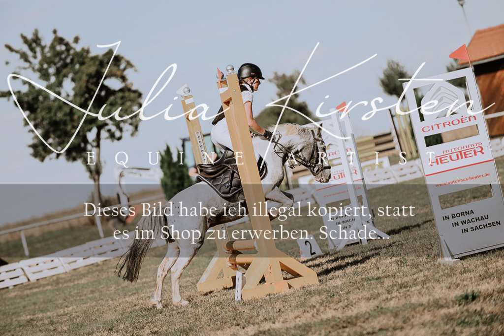 DSC_9437 | Pferde- und Turnierfotografie in Westsachsen. Pferdeportraits, Auftragszeichnungen und intuitive Kunst.