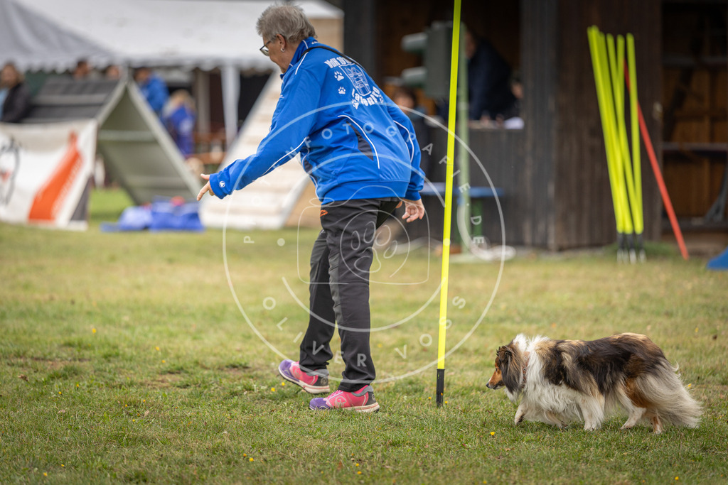 Pfotenfotografie_DV3A5087 | Hundefotografie, Tierfotograf, Pfotenfotografie, Fotoshooting Hund, Hunde Portrait, Hundesport, Hundeportraits, Heideshooting, Hunde, Sportfotograf, Hundefotograf, Turnierhundsport, THS,  - Realisiert mit Pictrs.com