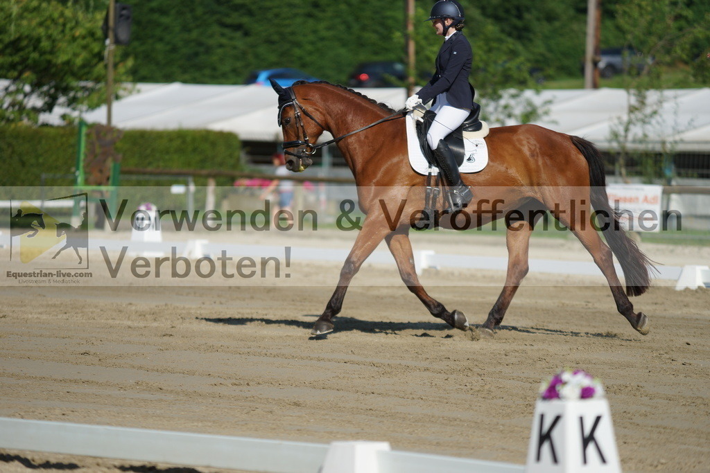 DSC04017 | equestrian-live-com