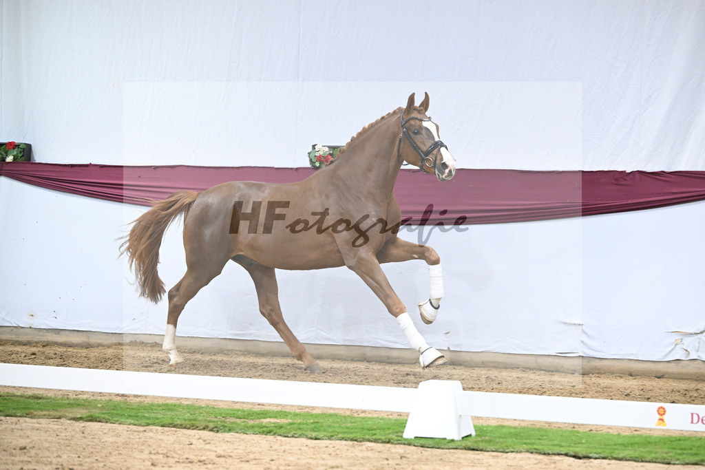 Kat-Nr. 115 Secret x Fidermark_Frieder Heilemann_47254389 | hf-fotografie - Realisiert mit Pictrs.com