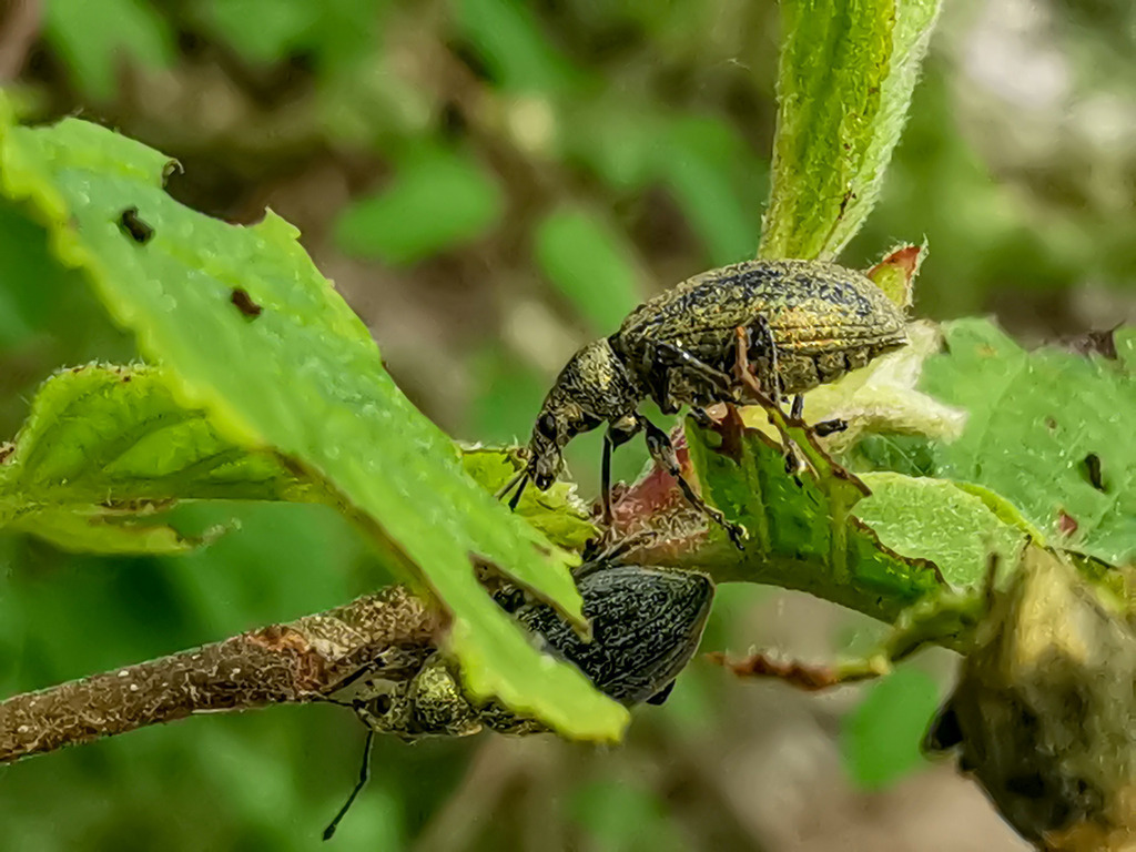 PSX_20240516_223839 | mtkfoto_ - Realisiert mit Pictrs.com