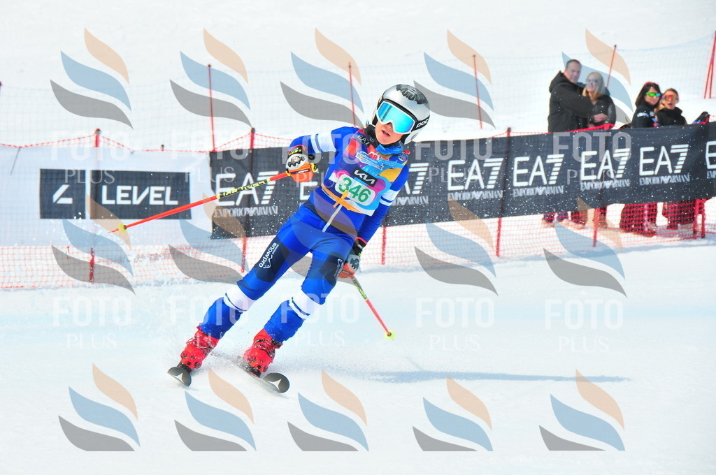 DSC_3131 | holidayphoto