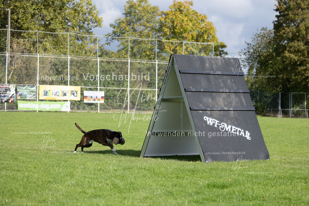 _16A6917 | Einzigartige Fotos von Hunden & Menschen –Actionfotos, Portraits, Vereinsaufnahmen & Paarshootings – authentisch, lebendig & mit Herz.