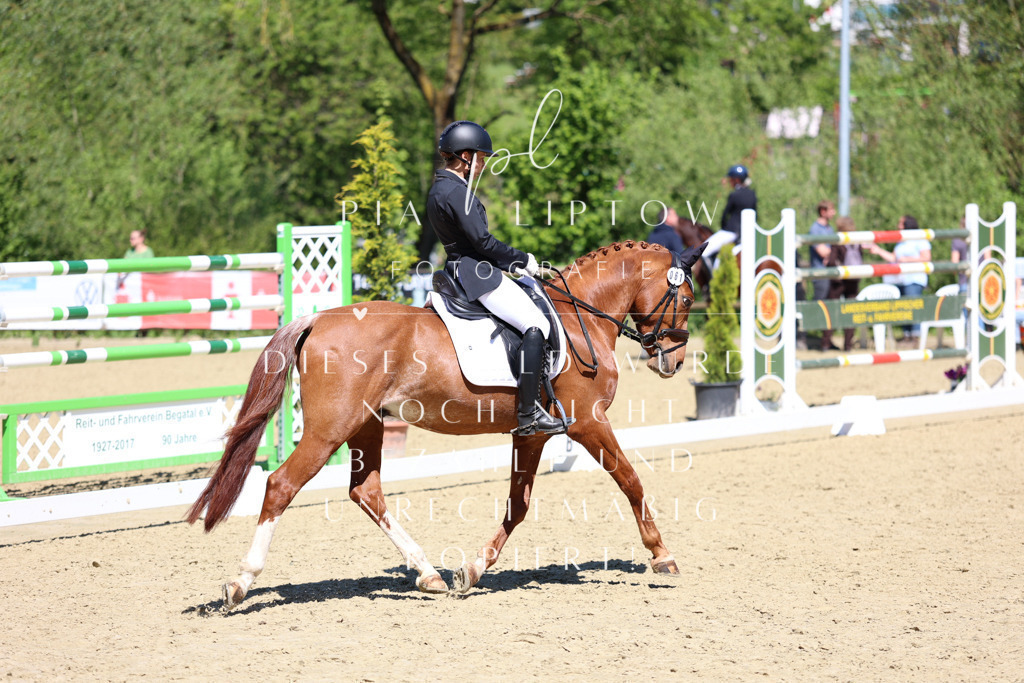 IMGS1328 | pl-fotografie