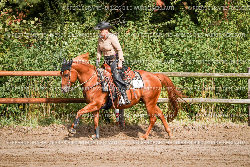 DSC09634 | Pferdegrafie