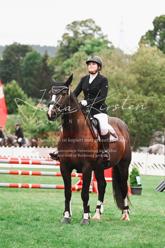 DSC_6306 | Pferde- und Turnierfotografie in Westsachsen. Pferdeportraits, Auftragszeichnungen und intuitive Kunst.