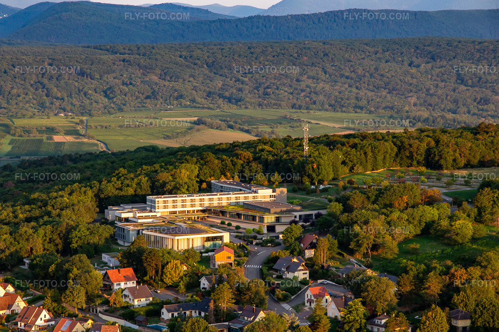Aerial view: Le Bischenberg in Bischoffsheim in the state Bas-Rhin, France.Photo: IMG_137975.jpg taken on 08/19/2023 by Werner Riehm/FLY-FOTO.comResolution of the original: 5005 x 3337 pxWWW.LEBISCHENBERG.COM
