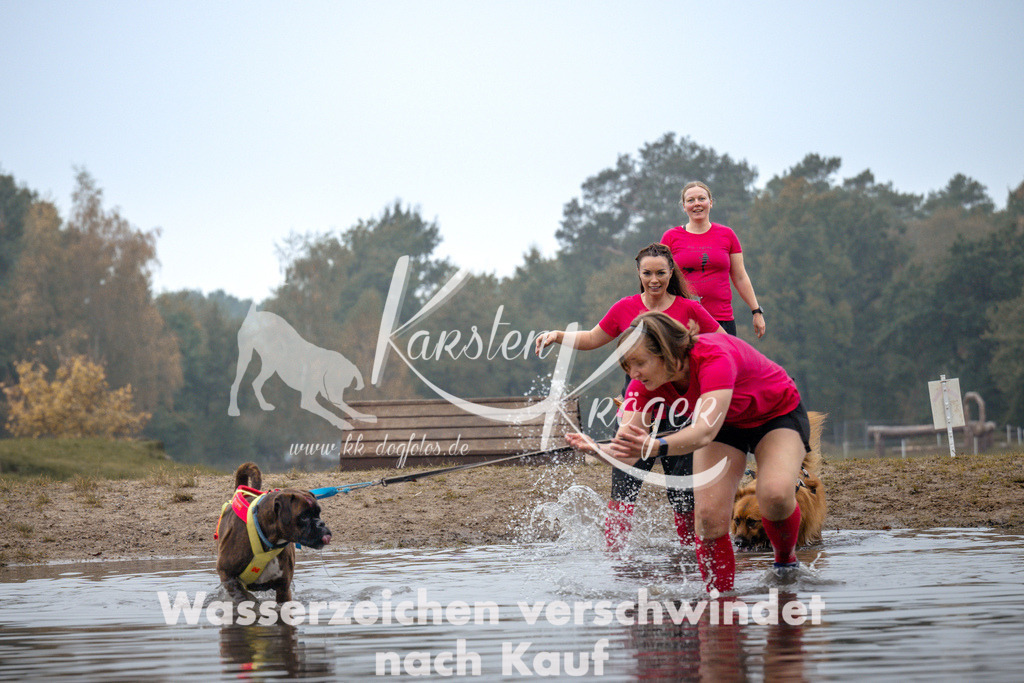 1025_ZZ99471 | kk-dogfotos