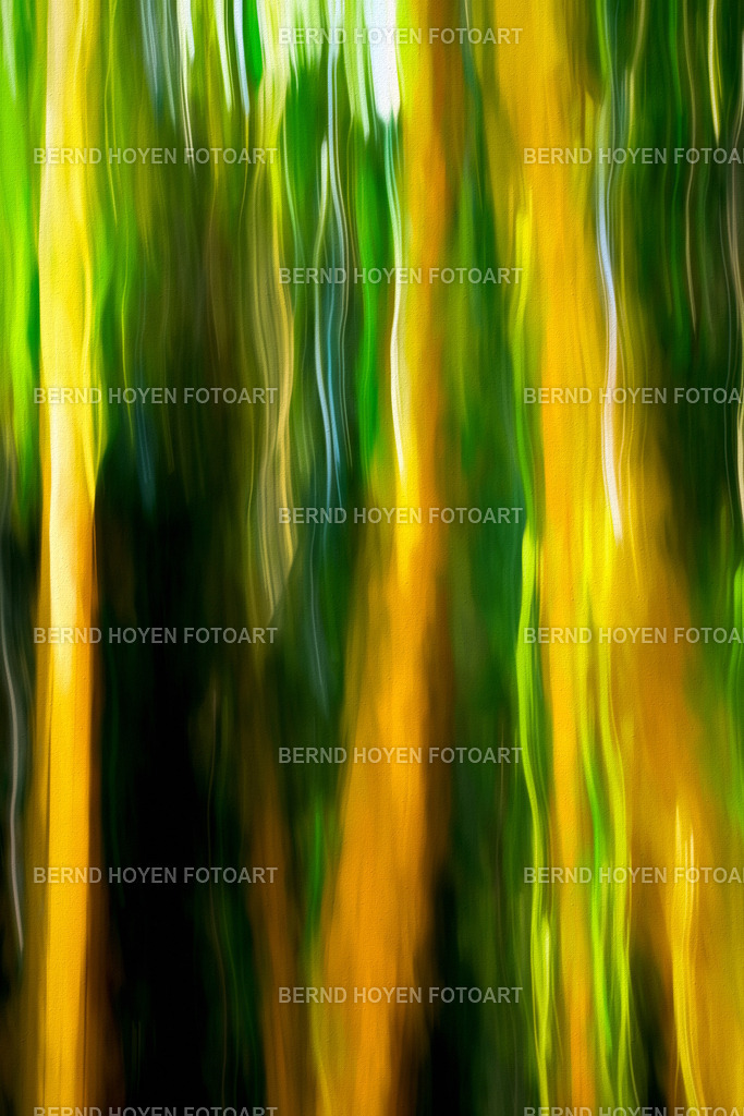 berlin bamboo | Fotografie einiger Bambus Bäume in Berlin, Deutschland.Die Aufnahme entstand durch Langzeitbelichtung und Mitziehen der Kamera (ICM / Wischtechnik). Durch entsprechende Bildbearbeitung wurde ein malerischer Effekt hinzugefügt. | Photograph of some bamboo trees in Berlin, Germany.The image was created using a long exposure and panning the camera (ICM / panning technique). A painterly effect was added through appropriate image editing. - Realisiert mit Pictrs.com