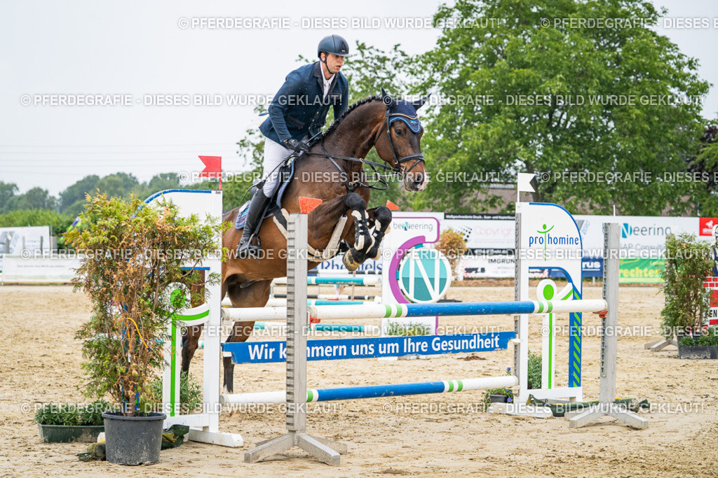 DSC00790 | Pferdegrafie