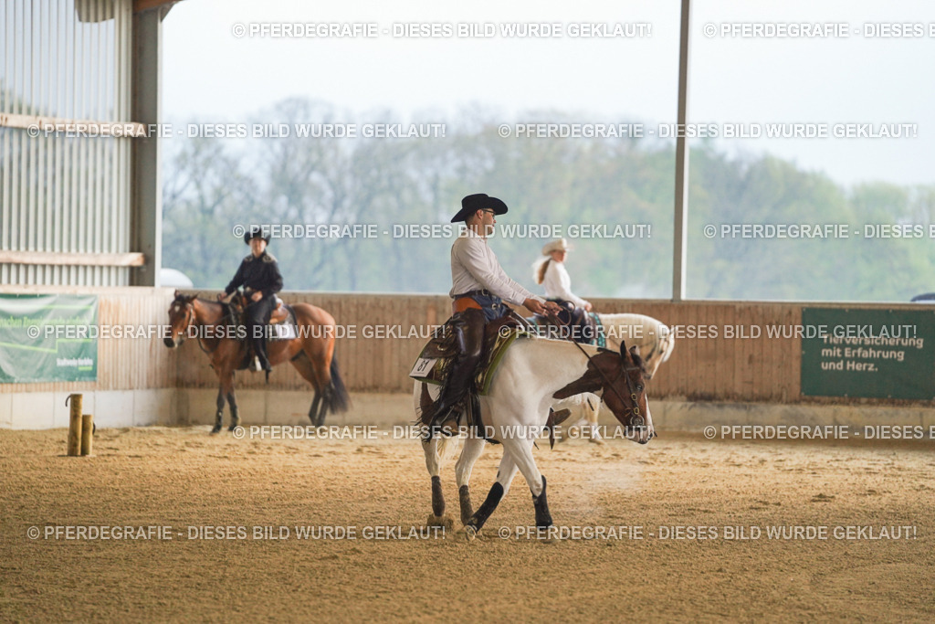 DSC09218 | Pferdegrafie