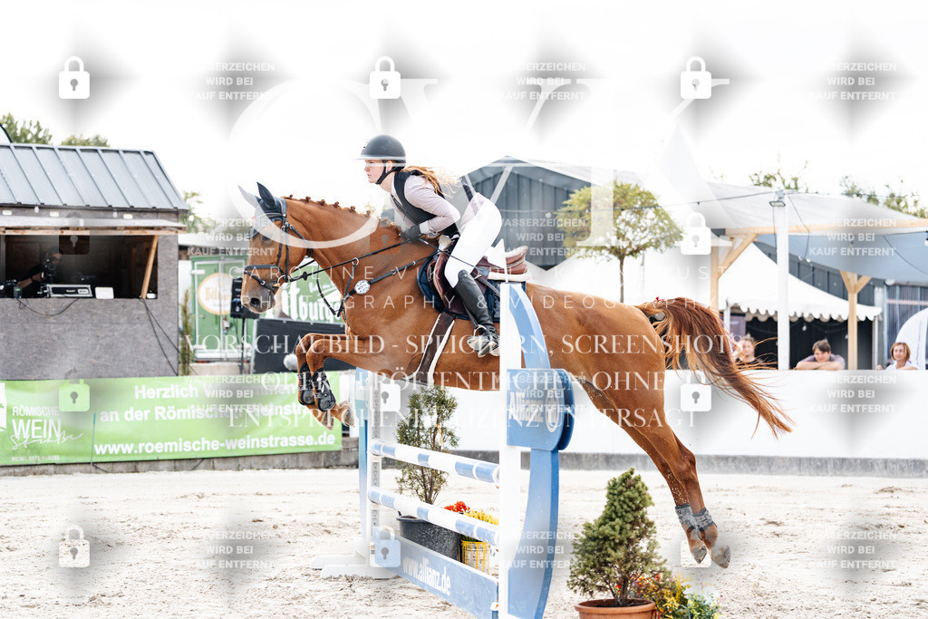 CK902259 | Turnierfotografie Pferdefotografie Trier Rheinland-Pfalz Pferdesport Reitsport Tierfotografie Sportfotografie Pferdevideo Pferdevideografie Equestrianvideography equestrianphotography  - Realisiert mit Pictrs.com