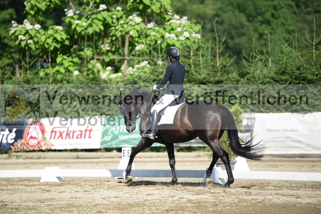 DSC_7398 | equestrian-live-com