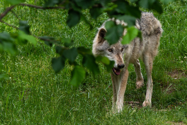 IMGP7287 | Carismarkus, Fotografie, Lost Places, Urbex, Stilvoll, Akt, Nude, Fine Arts, Adventure, Beauty in decay - Realisiert mit Pictrs.com