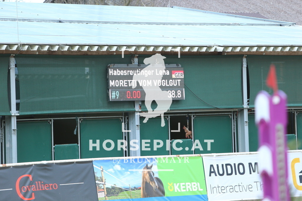 DL2Q0264 | Willkommen bei Brunnmayr - Design & Fotografie – Ihrem Spezialisten für Reitturniere und Pferdeveranstaltungen in Oberösterreich, Salzburg und Bayern! Seit über 17 Jahren sind wir leidenschaftlich dabei.