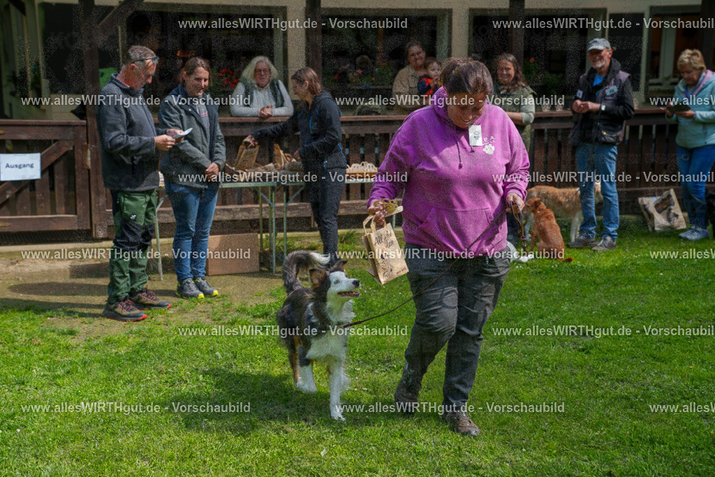 @allesWIRTHgut_Tierfotografie - www.allesWIRTHgut.de - 7R506126 | Professionelle Tierfotografie in Mönchengladbach von Daniel Wirth (allesWIRTHgut). Liebevolle & natürliche Bilder von Hunden & Katzen für unvergessliche Erinnerungen.