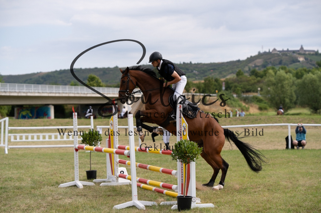 A7V01405 | Pferdefotograf