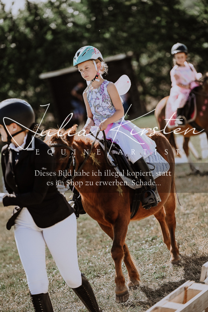 DSC_8976 | Pferde- und Turnierfotografie in Westsachsen. Pferdeportraits, Auftragszeichnungen und intuitive Kunst.