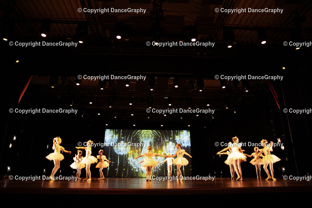 GPHY5401 | DanceGraphy - Realisiert mit Pictrs.com